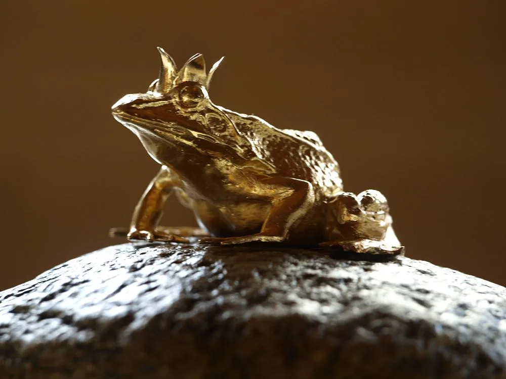 Der „Froschkönig“ – Design-Award des Schwimmteich-Herstellers BIOTOP, mehrfach an Fuchs baut Gärten verliehen