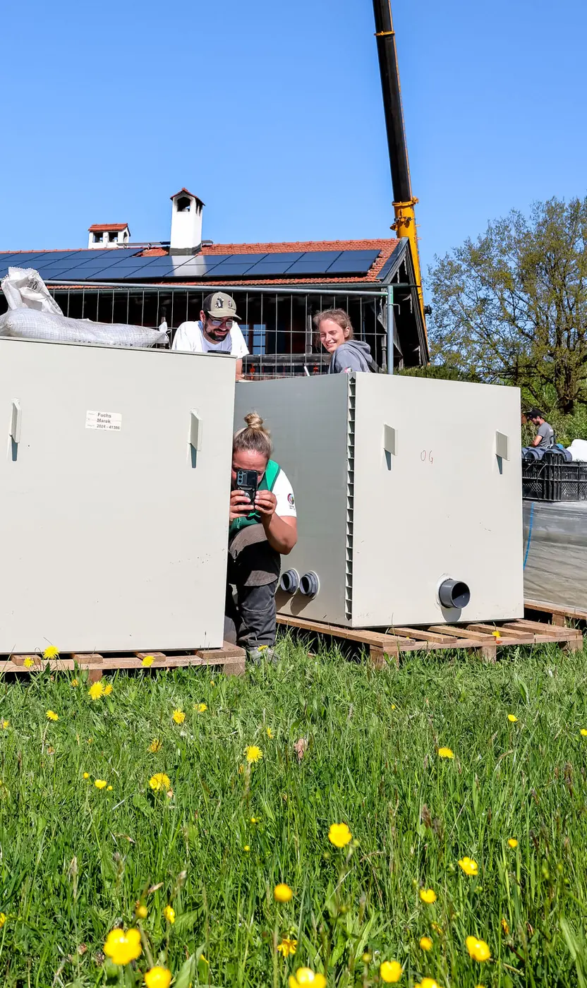 Verpacktes Fertigbecken auf Paletten in der Blumenwiese