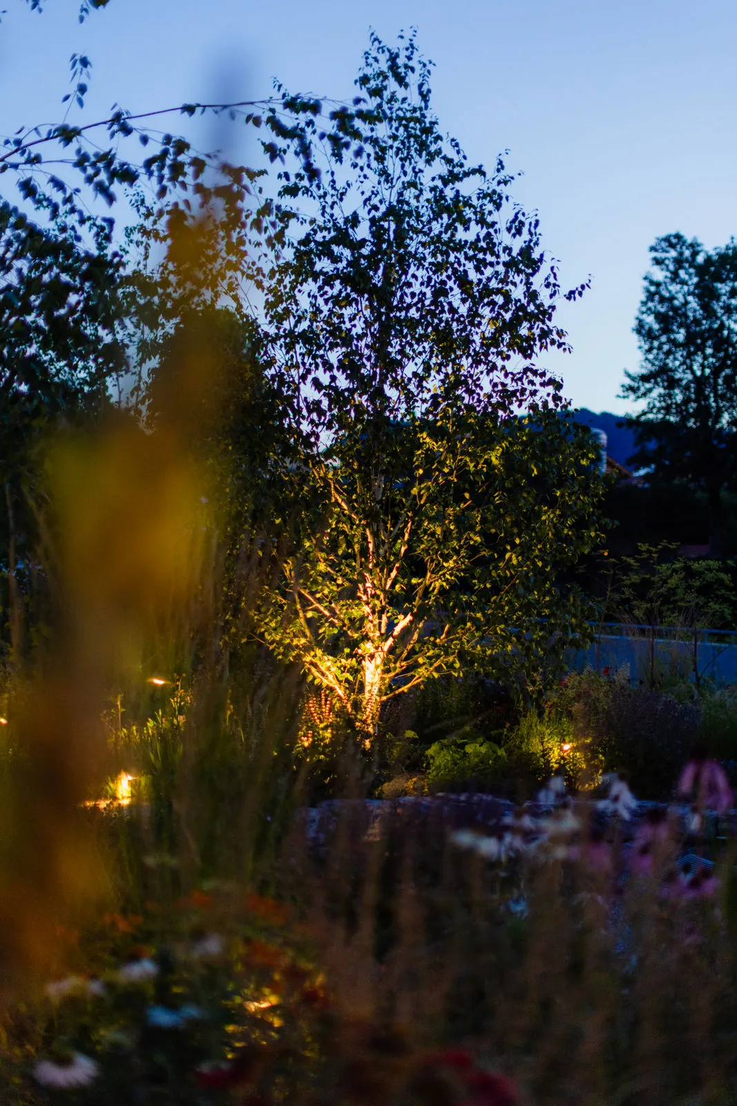 Gartenbeleuchtung & Lichtplanung