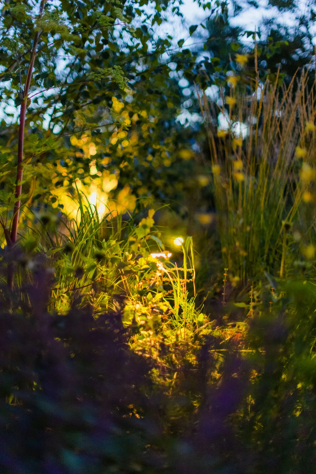 Gartenbeleuchtung – Pflegehinweise