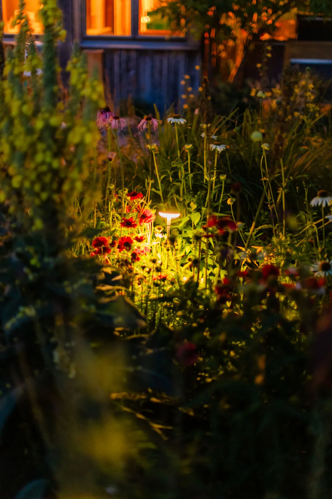 Gartenbeleuchtung bei Fuchs baut Gärten (2)