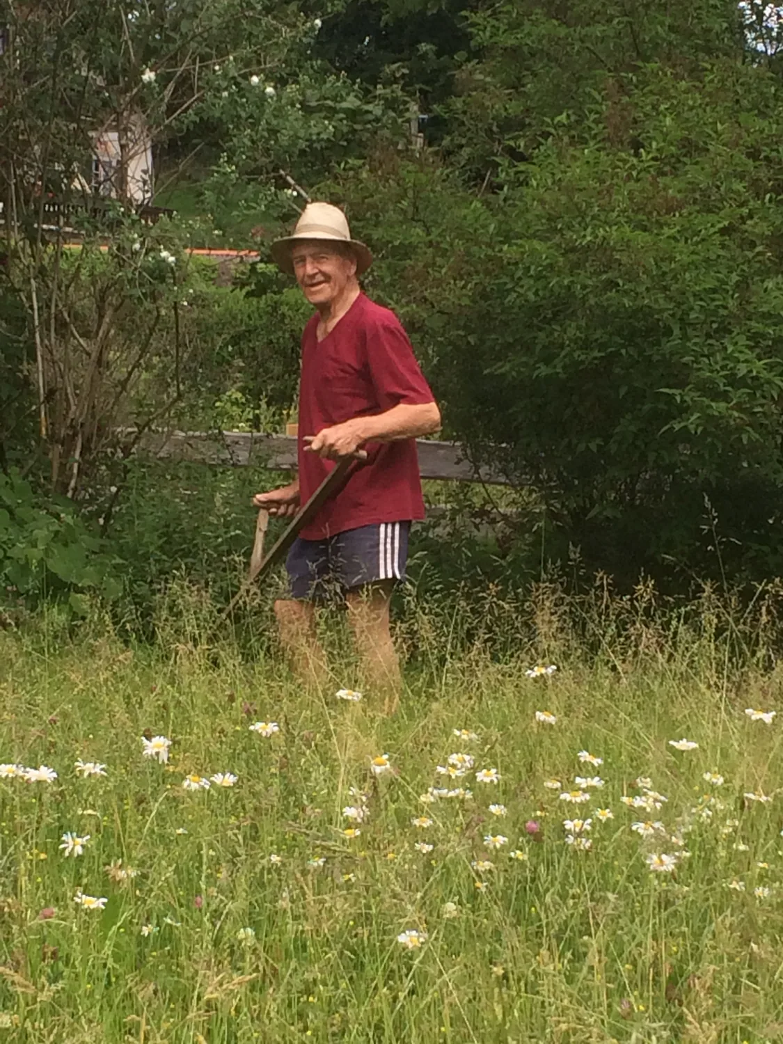 Fuchs baut Gärten 2018 – Der Senior mäht die Blumenwiese