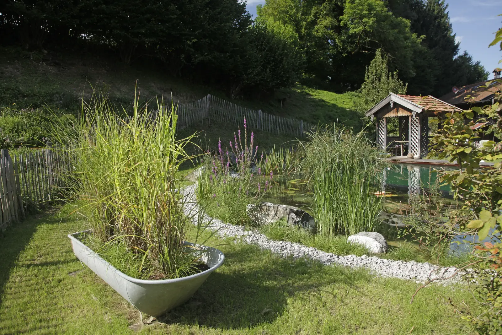 Die bepflanzte Regenerationszone mit Schilf und Gräsern, dahinter Teich und Badehaus