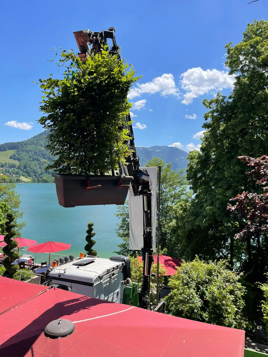 Hotels bei Fuchs baut Gärten (2)