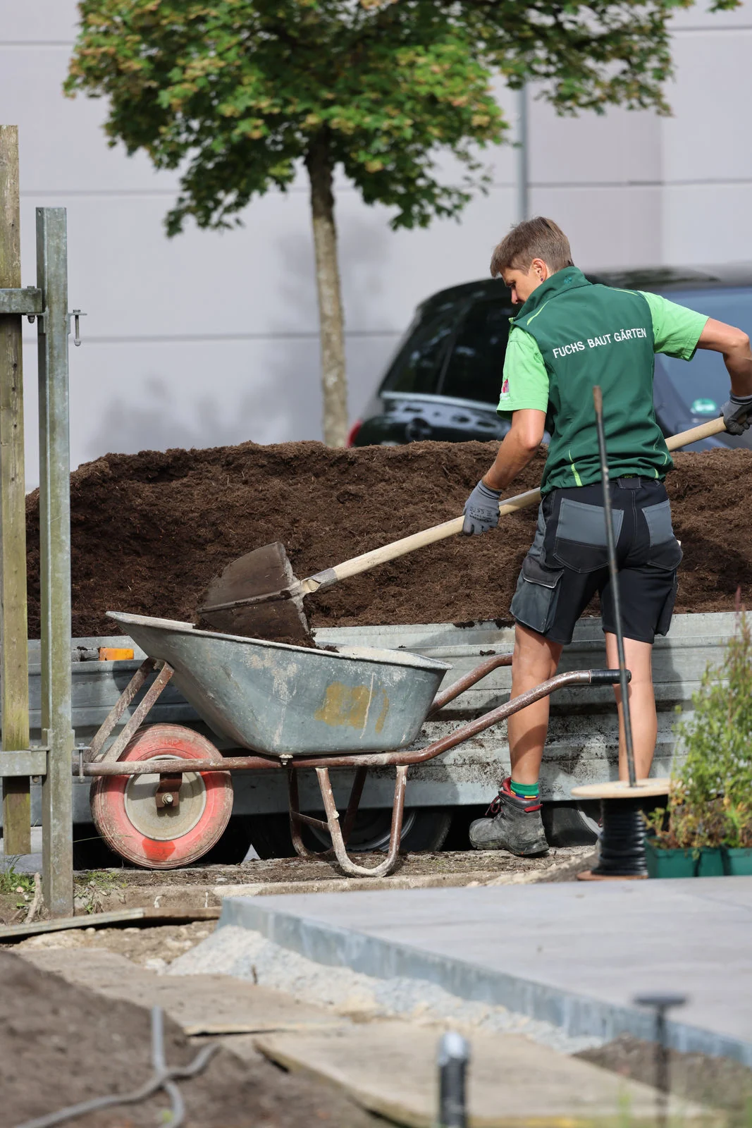 Kollege schaufelt Erde aus einer Schubkarre auf das neue Beet