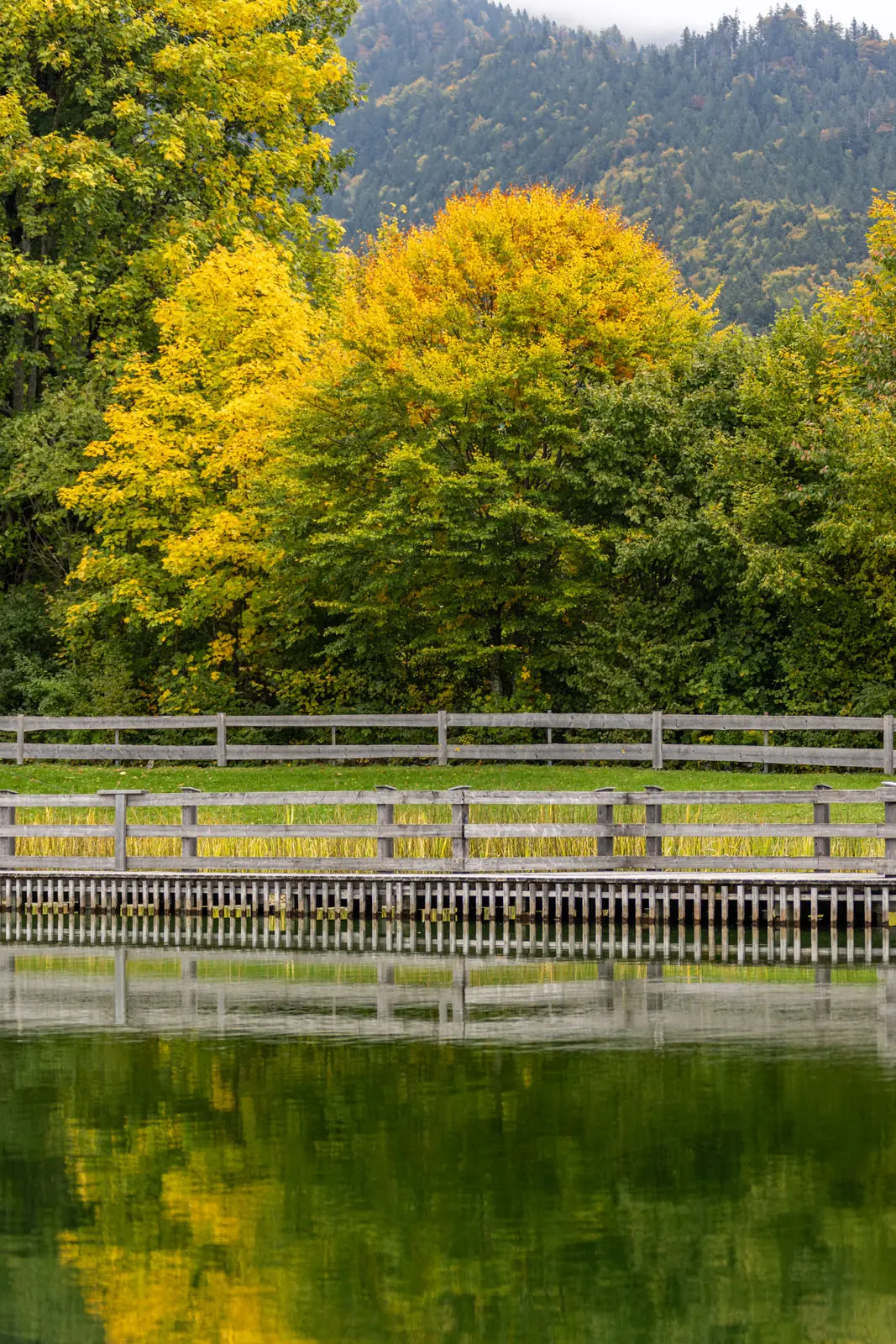 Naturfreibad für Gemeinden bei Fuchs baut Gärten (2)
