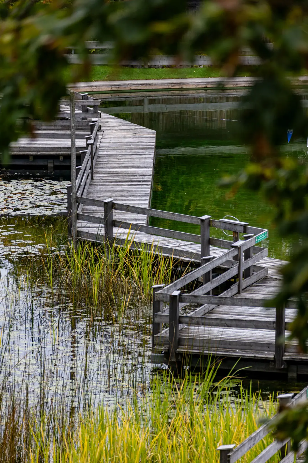 Naturfreibad für Gemeinden bei Fuchs baut Gärten (4)
