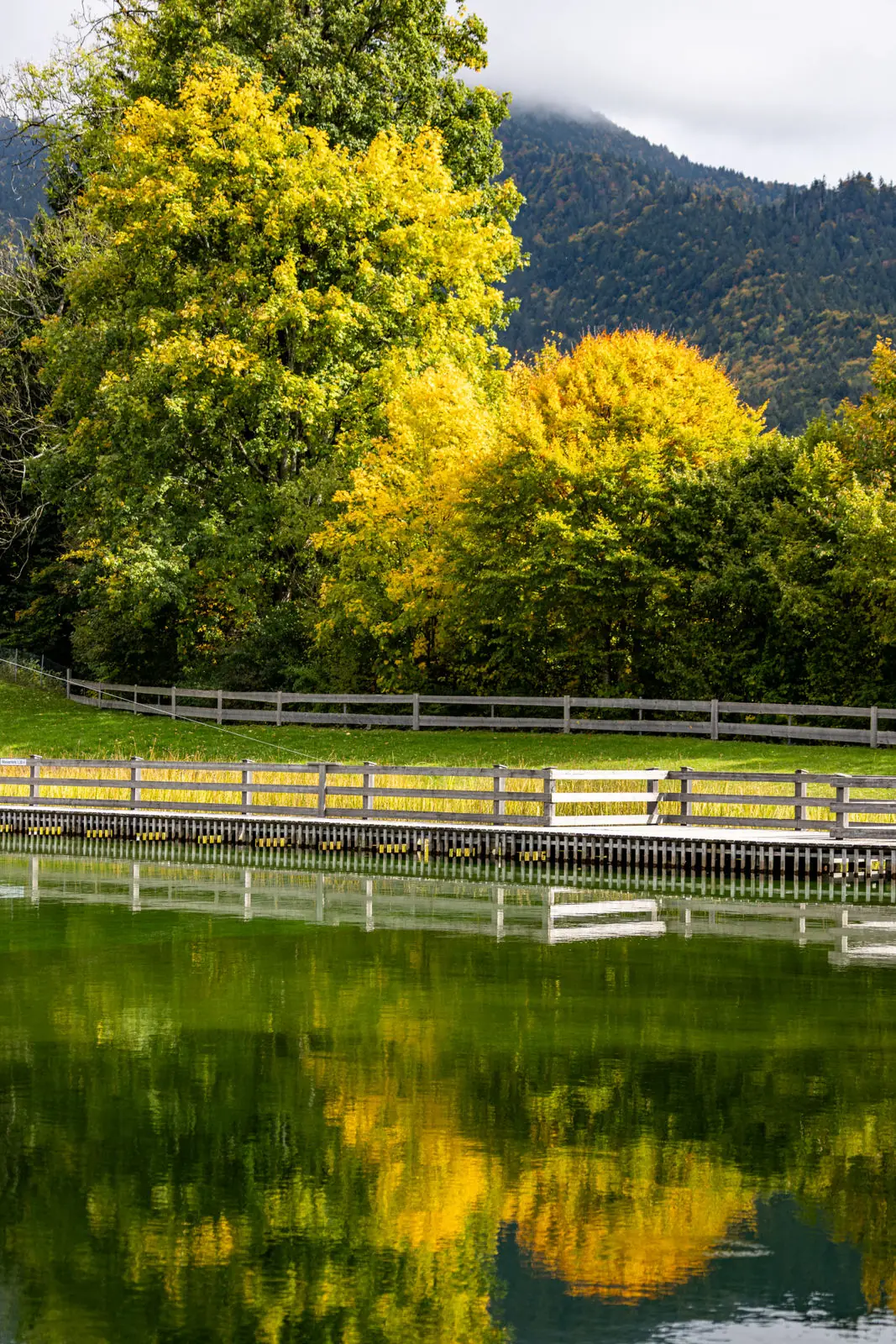 Naturfreibad für Gemeinden bei Fuchs baut Gärten (5)