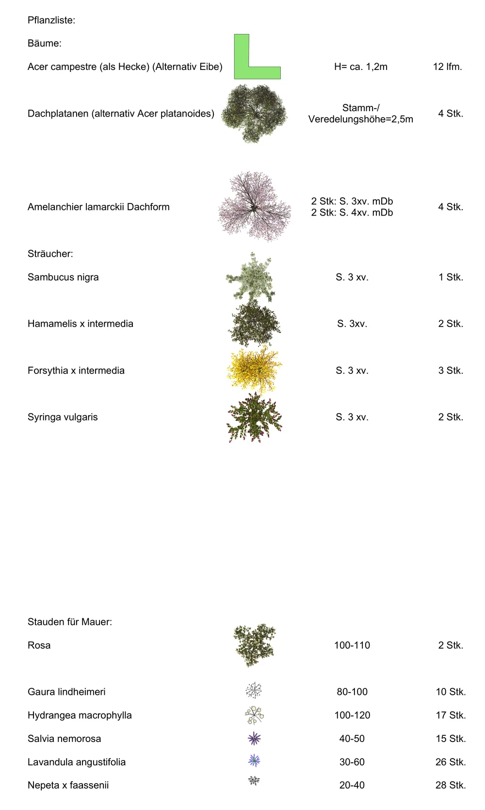 Ausschnitt einer Pflanzliste mit botanischen Namen, Größen und Stückzahlen