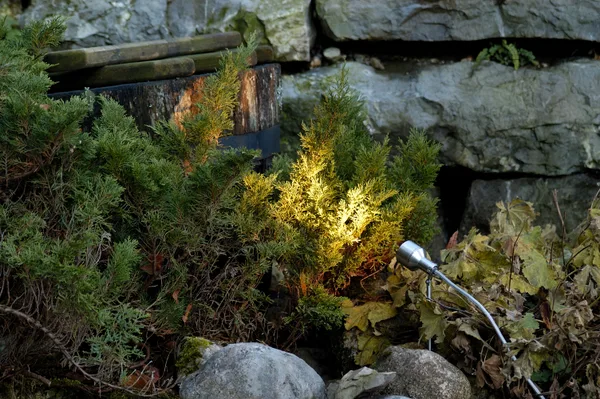 Gartenbeleuchtung – Beispiel aus unseren Gärten