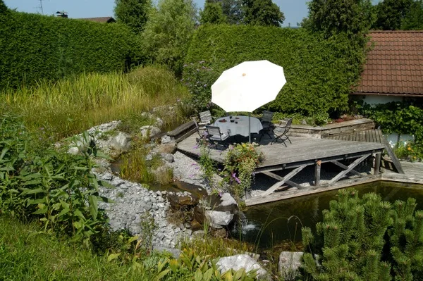 Hecken – Pflegehinweise