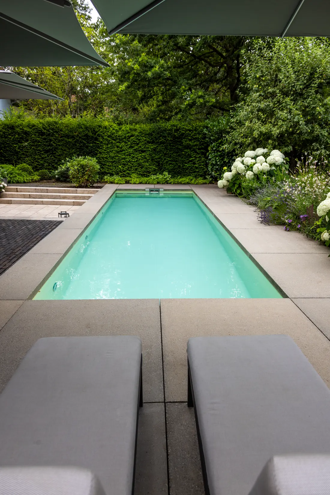 Pool mit Chlorung bei Fuchs baut Gärten (4)