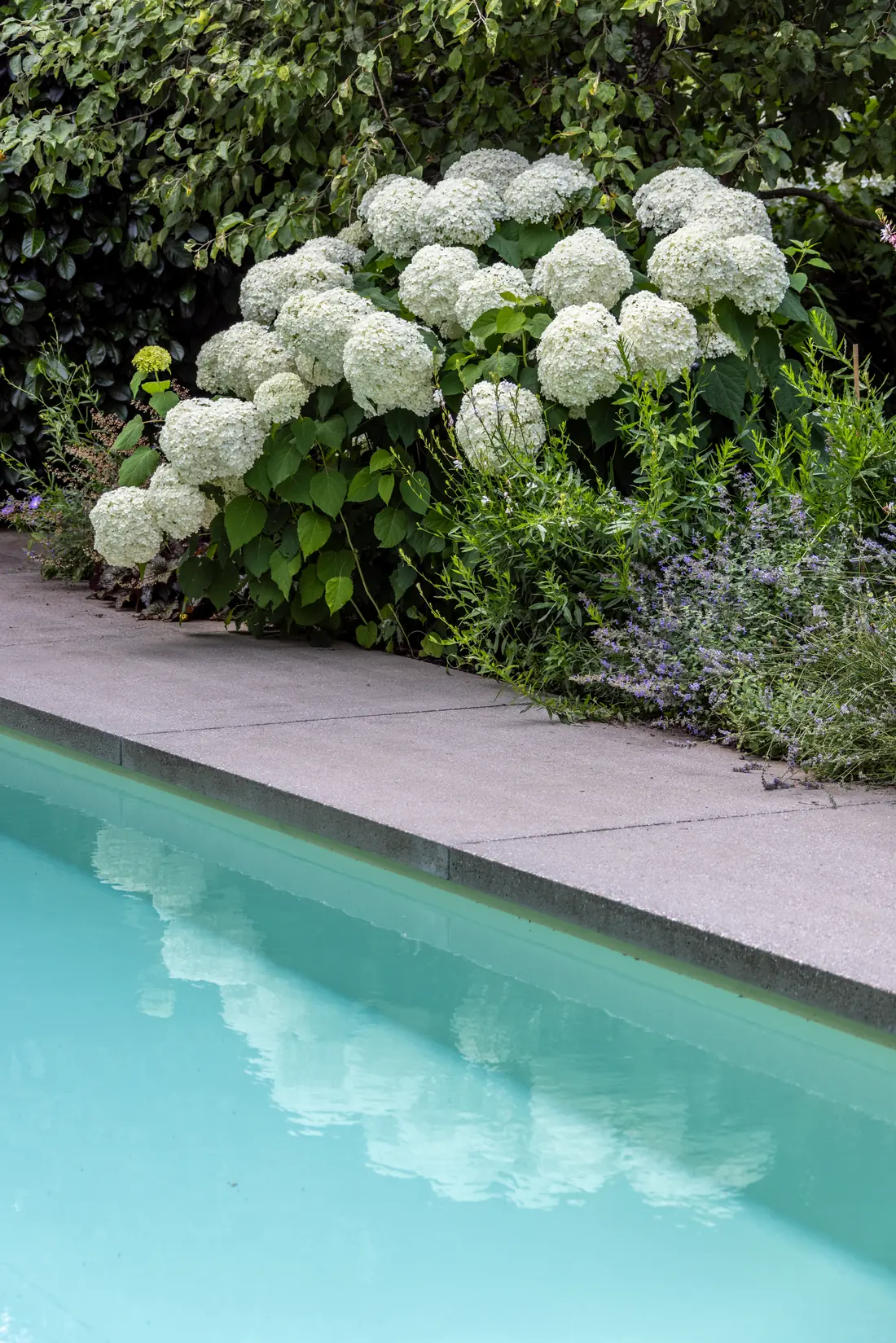 Pool mit Chlorung bei Fuchs baut Gärten (3)