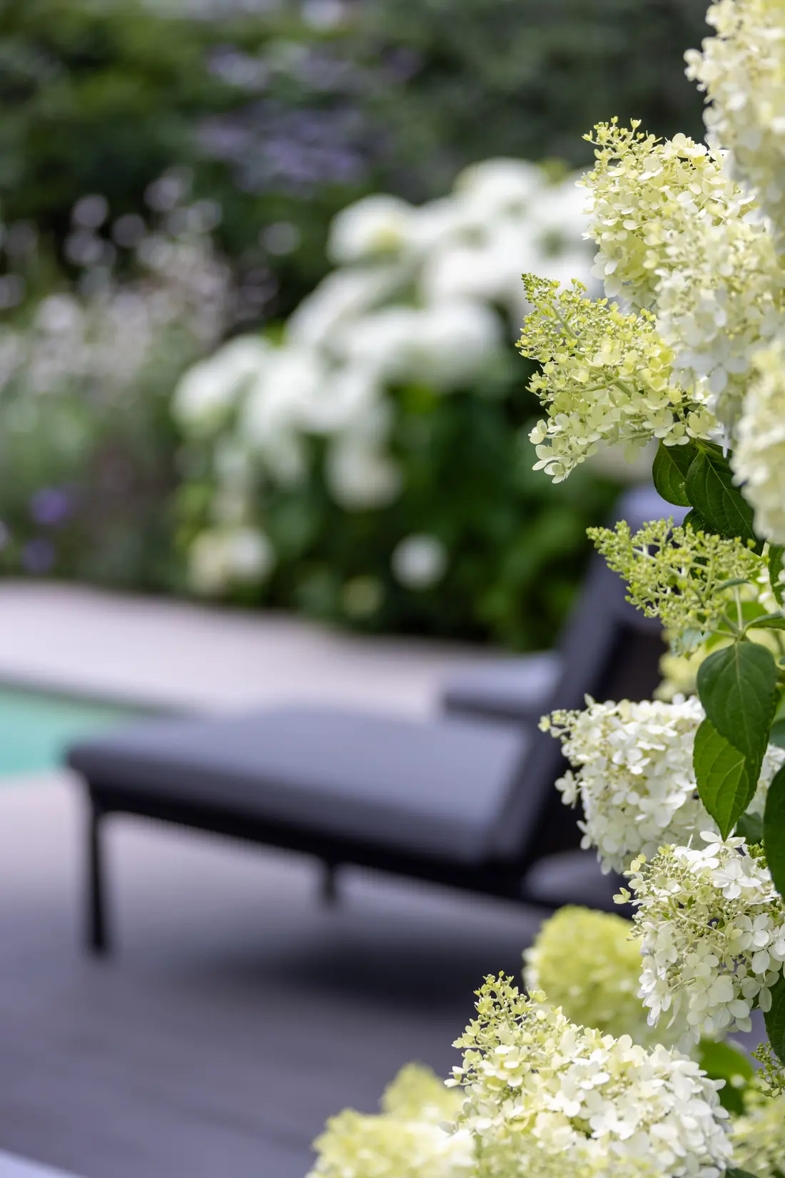 Pool mit Chlorung bei Fuchs baut Gärten (8)