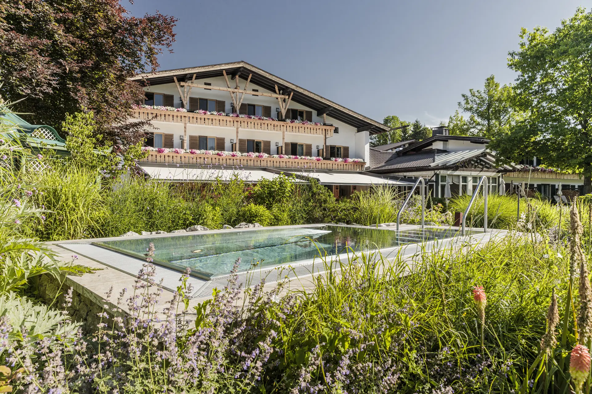 Der Pool vor dem Alpenhof, eingewachsen in Staudenbeete mit Bergminze und Fackellilie