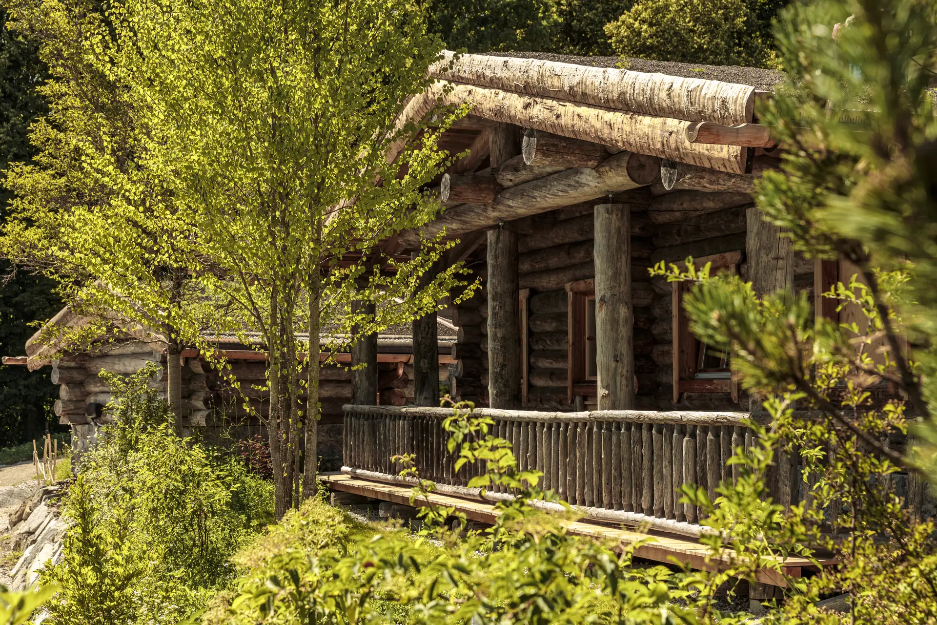 Blockhaus-Sauna mit Legschindeldach, eingewachsen ins Grün