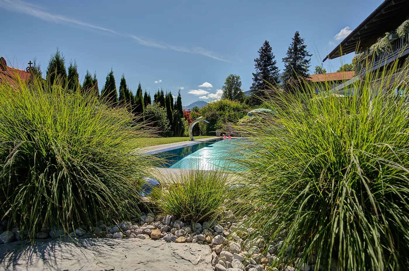 Blick durch Chinaschilf über den Pool in den Hang