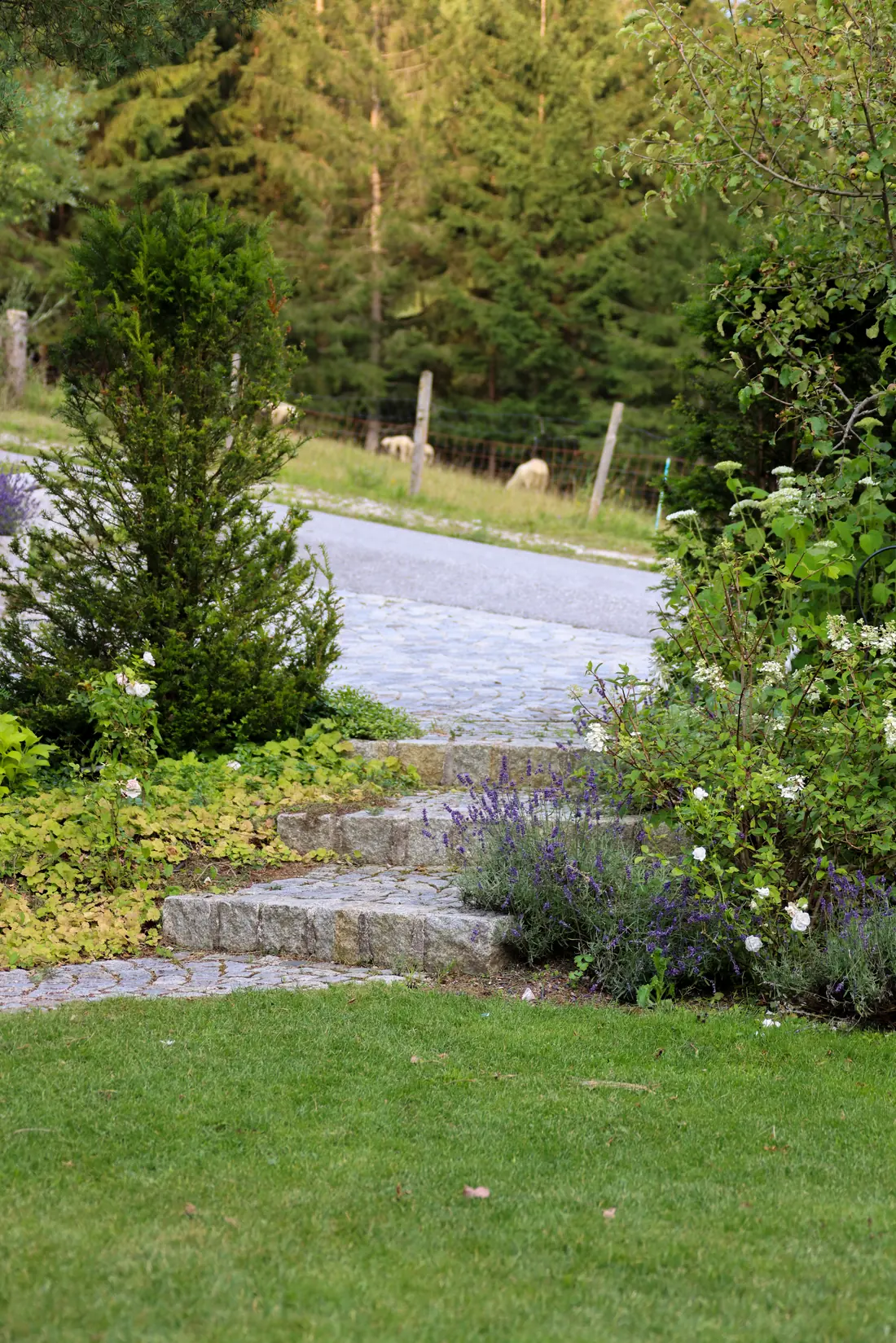Ein Garten für die ganze Familie – Impression