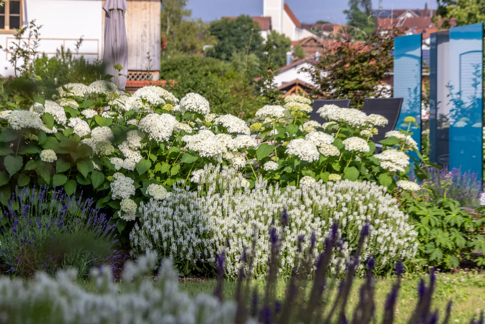 Weiße Hortensien und Lavendel über dem Becken, dahinter die Dächer des Ortes