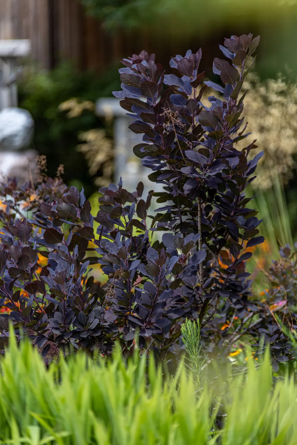 Erinnerungsgarten Iffeldorf – Impression