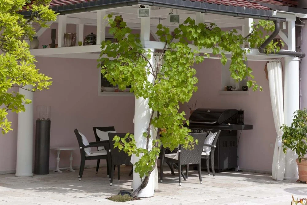 Überdachter Sitzplatz mit Grill, berankt mit Wein