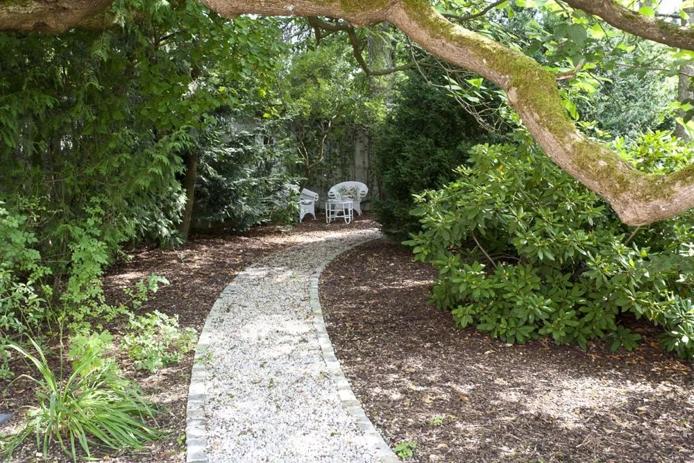 Geschwungener Kiesweg unter altem Baum zum schattigen Sitzplatz