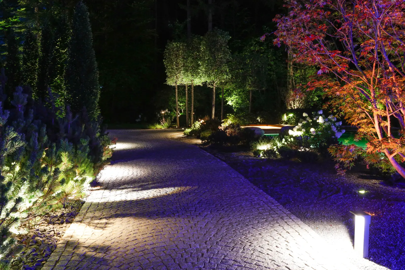Der Weg aus Kleinstein, seitlich ausgeleuchtet, dahinter warm angestrahlte Gehölze
