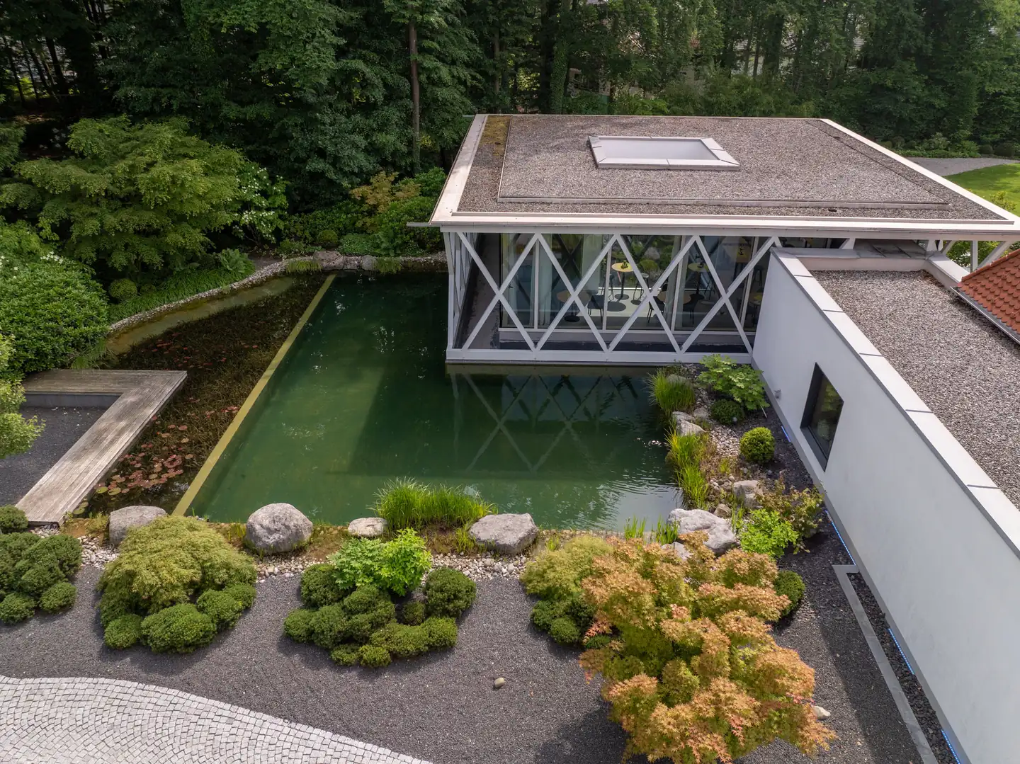 Der Schwimmteich von oben, umgeben von Kiesfläche, Formschnittkugeln und einem kupferfarben austreibenden Ahorn
