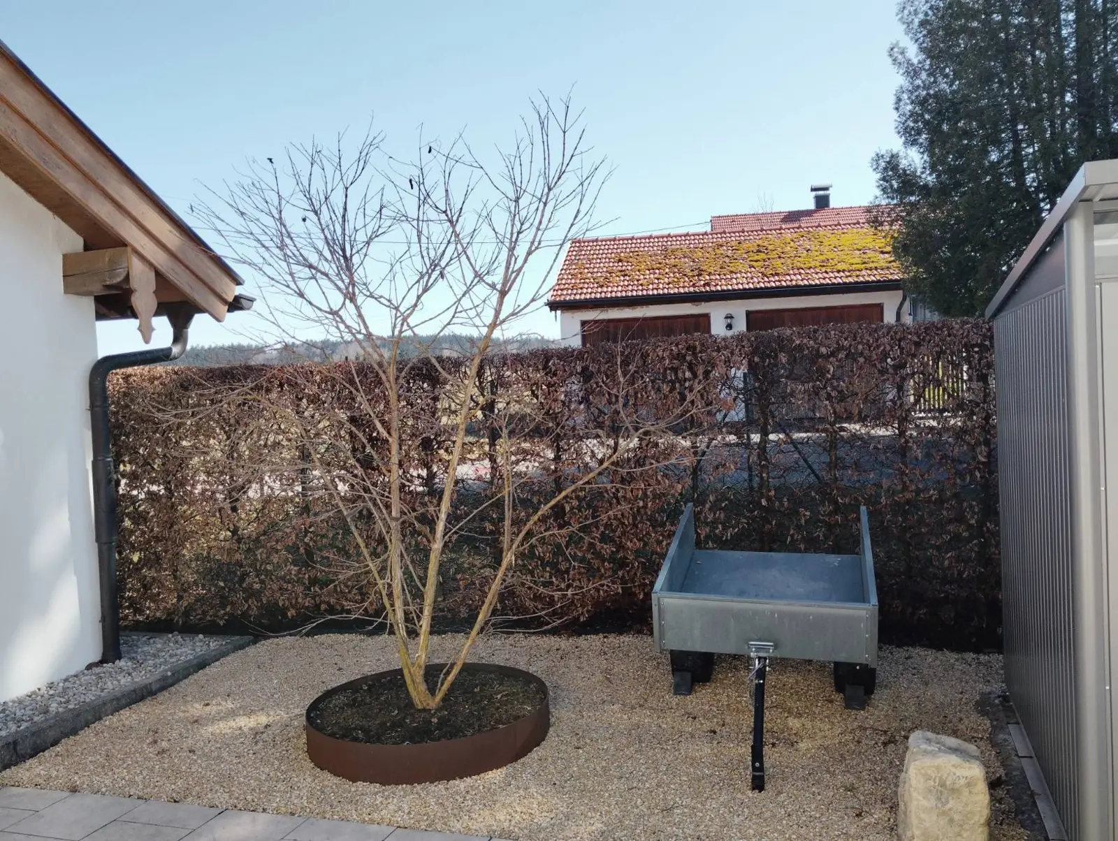 Der Vorgarten im Winter: Kiesfläche, Cortenstahl-Ring und Rotbuchenhecke