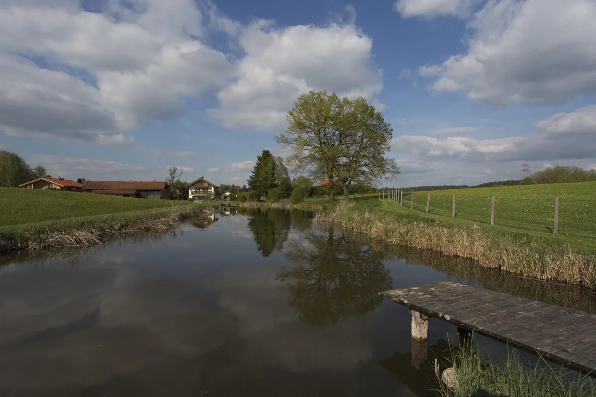 Der Kiesweg führt zum Steg am Wasser, dahinter Wiesen und ein alter Baum