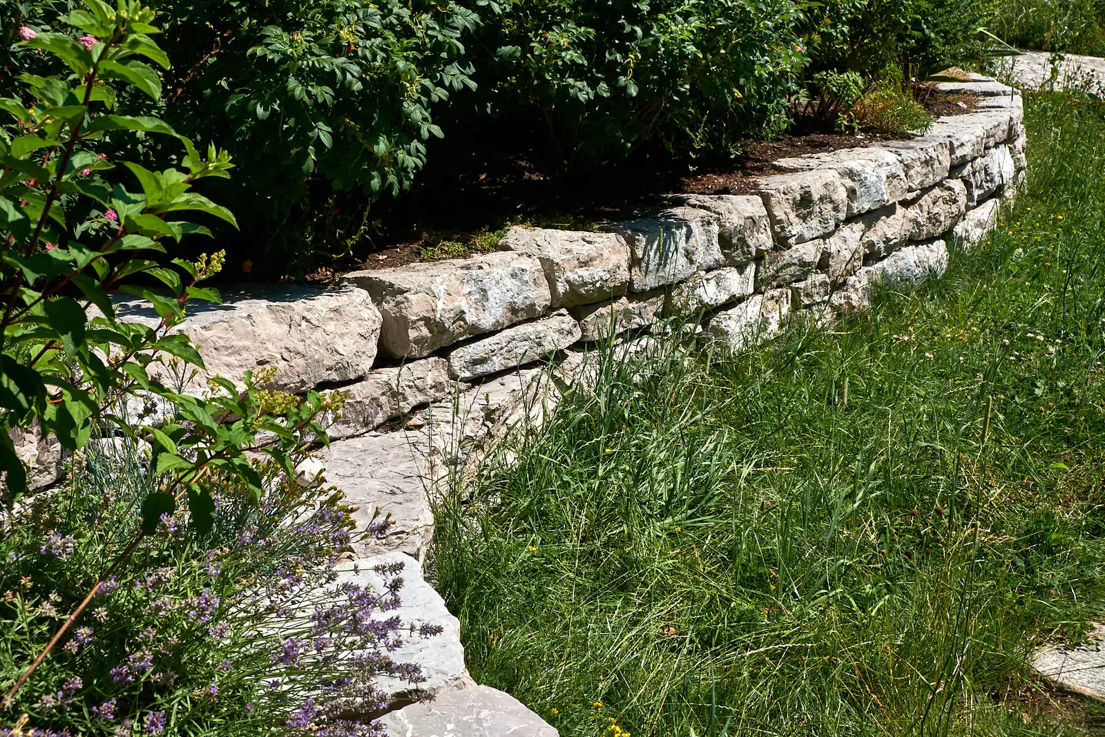 Die Trockenmauer aus Kalkstein fasst den Rasen