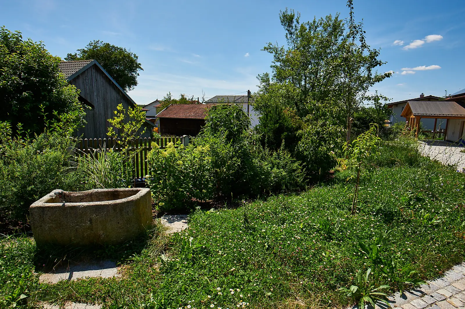 Der antike Dorfbrunnen steht im hohen Grün
