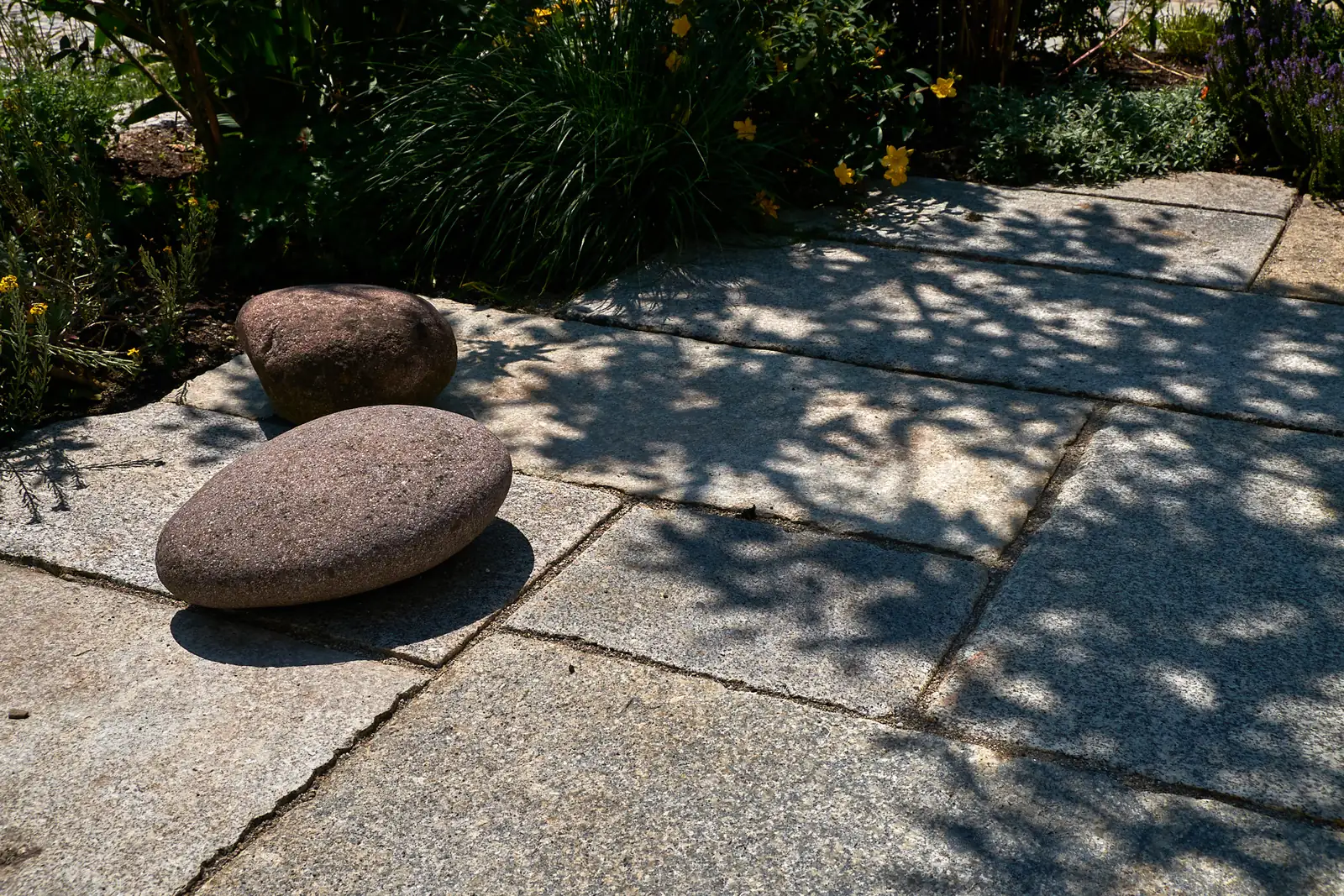 Findlinge als Sitzsteine auf den Platten, im Schatten des Baums