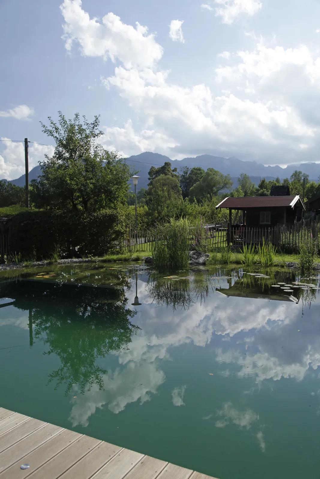 Der Himmel spiegelt sich im Teich