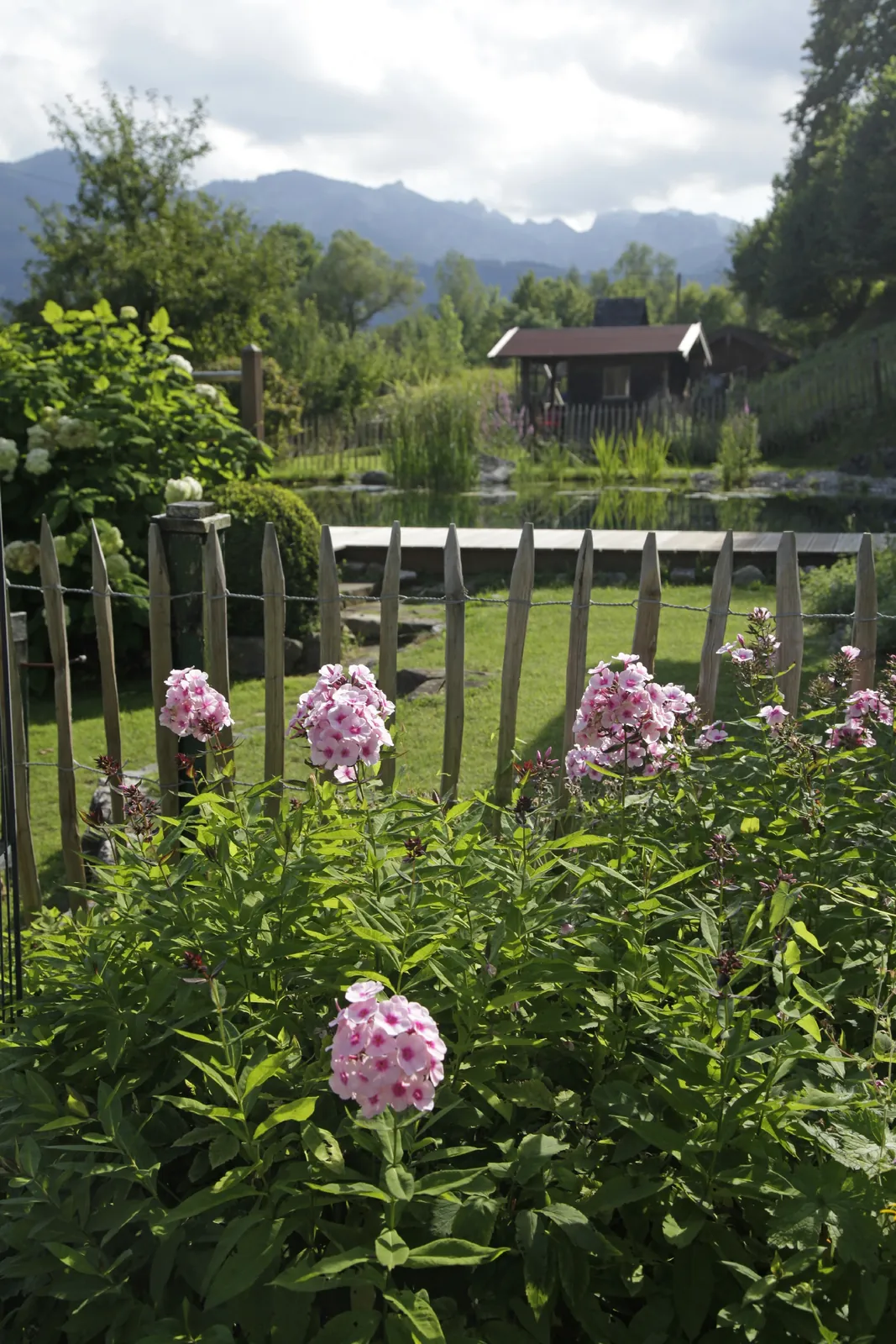Rosen im Zinkeimer auf dem Holzdeck