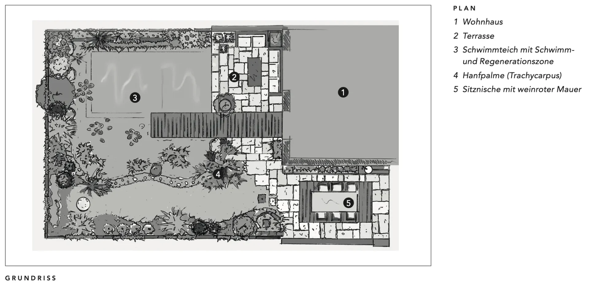 Der Entwurfsplan: Wohnhaus, Terrasse, Schwimmteich mit Regenerationszone, Hanfpalme und Sitznische mit weinroter Mauer