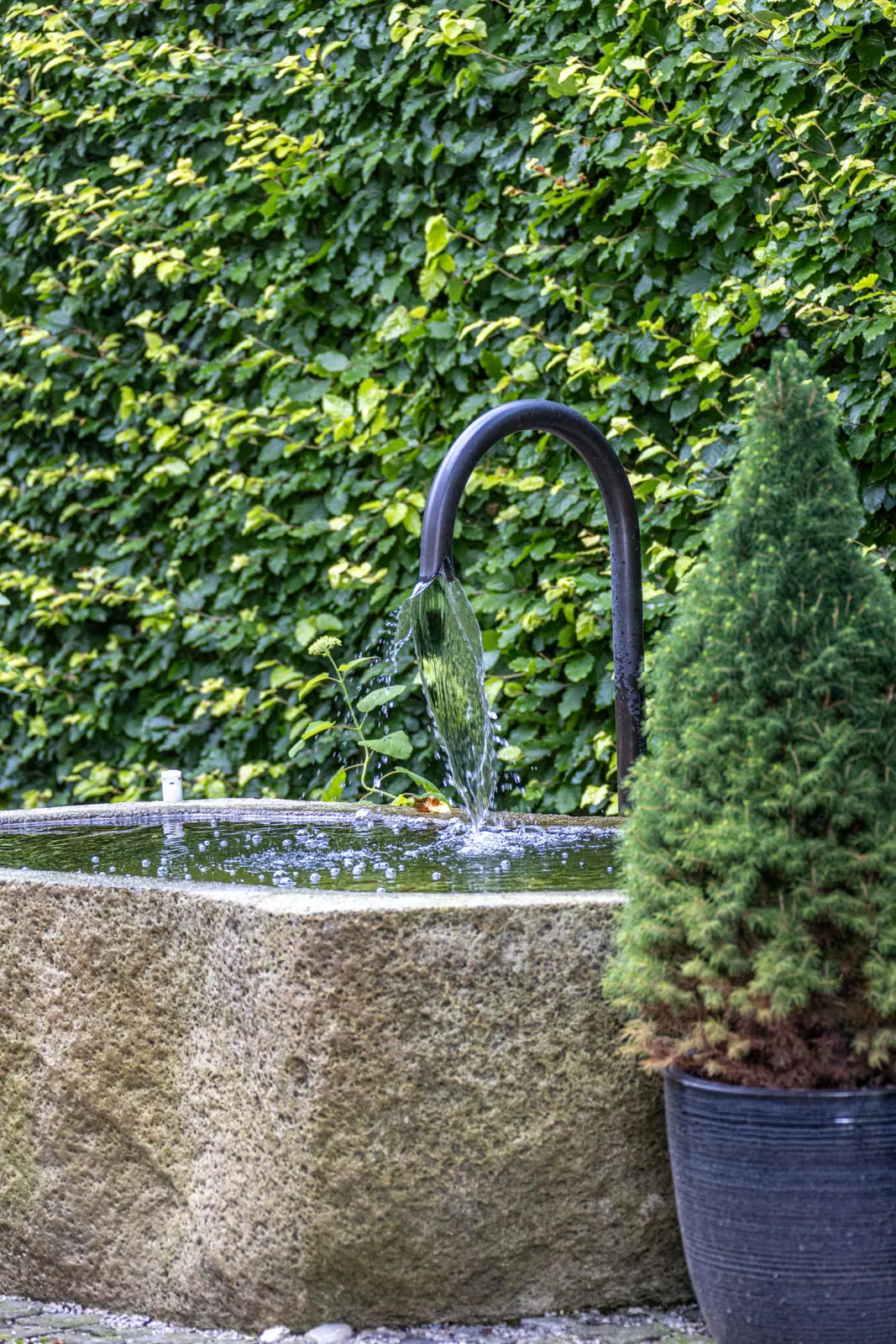 Unser erster NIVEKO Living Pool – Impression
