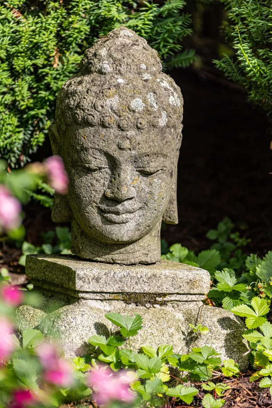 Ein Buddha-Kopf aus Stein zwischen blühenden Stauden