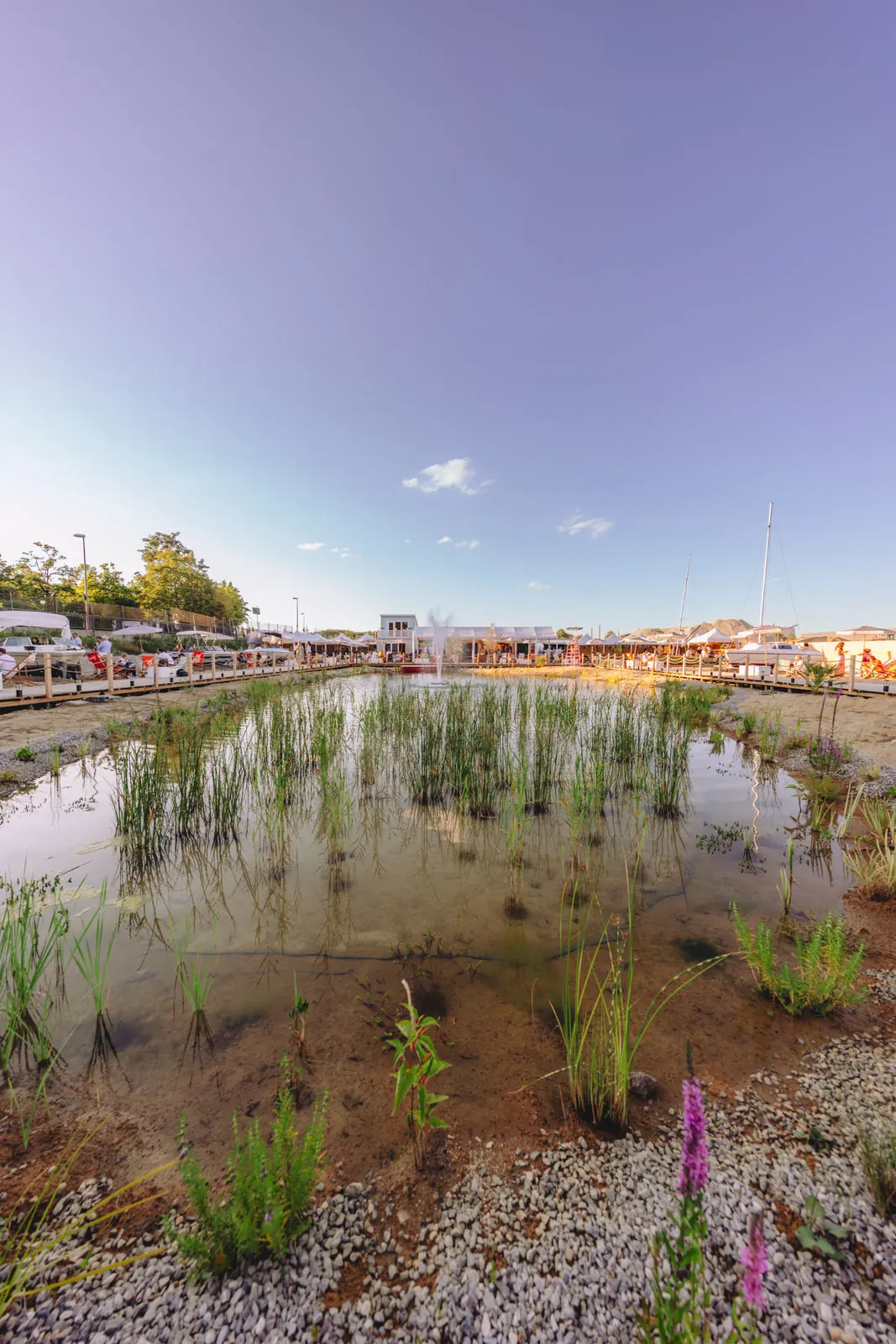 Blick über die Regenerationszone des Schwimmteichs – Kies, Wasserpflanzen und offenes Wasser