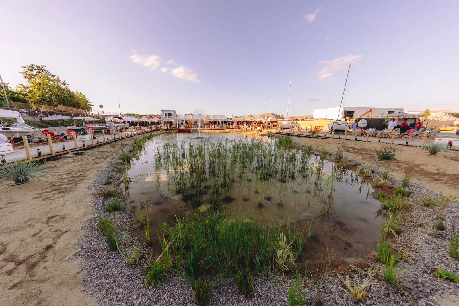 Die Regenerationszone im Abendsonnenlicht, mit Schilf bewachsene Flachwasserbereiche