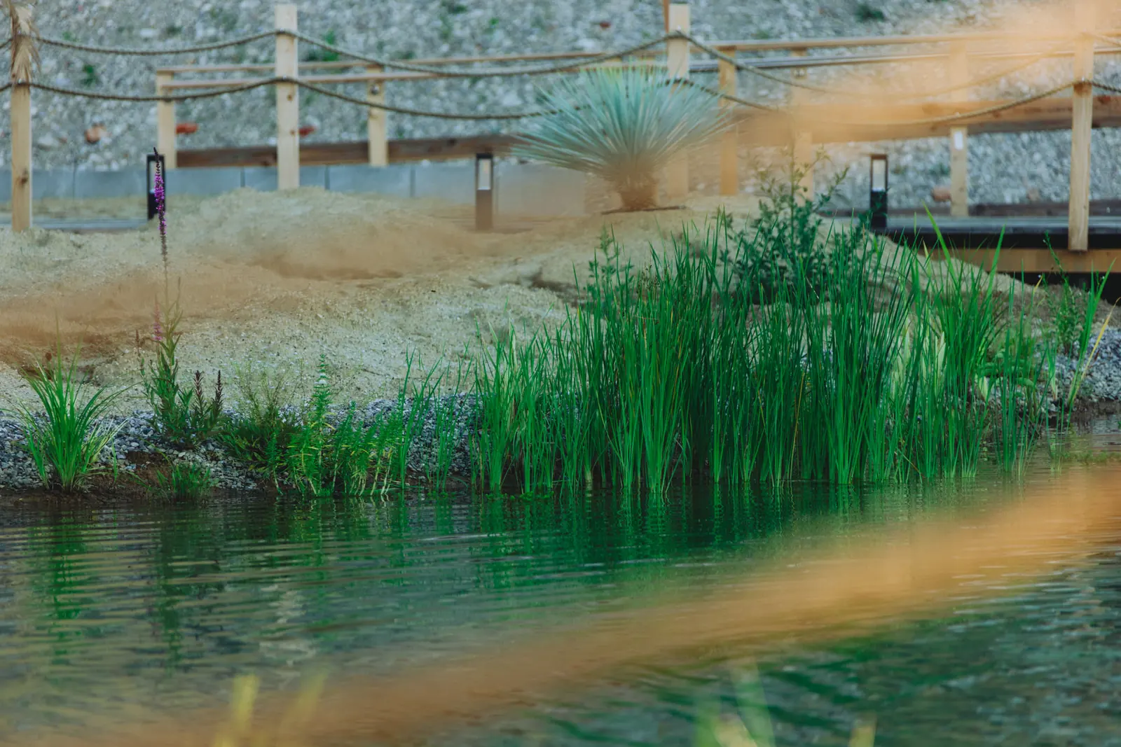 Uferzone mit Gräsern, Kiesbank und Holzgeländer am Wasser