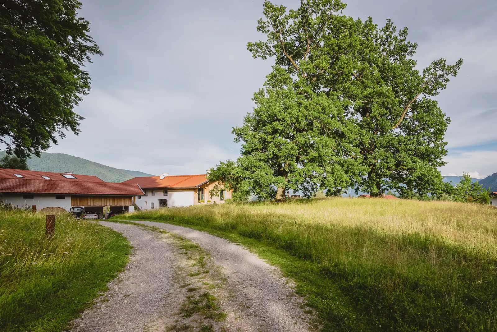 Der Feldweg führt auf den Hof zu