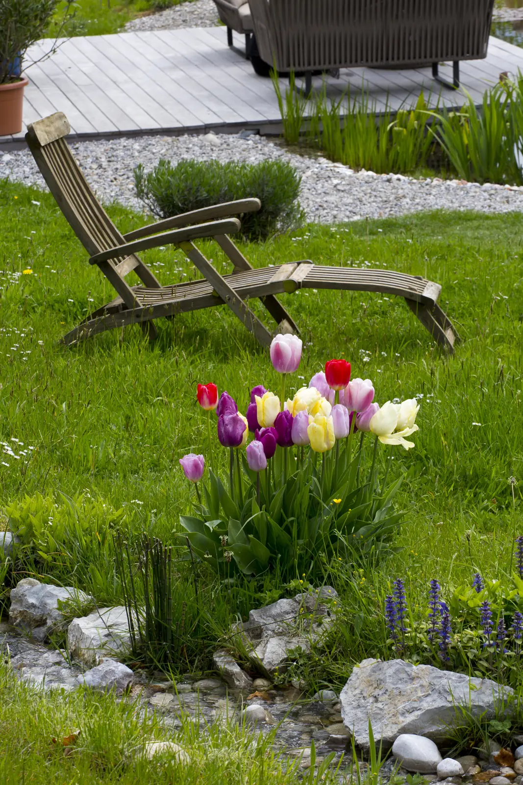 Tulpen in Weiß, Rosa und Gelb, dahinter der Liegestuhl am Teich