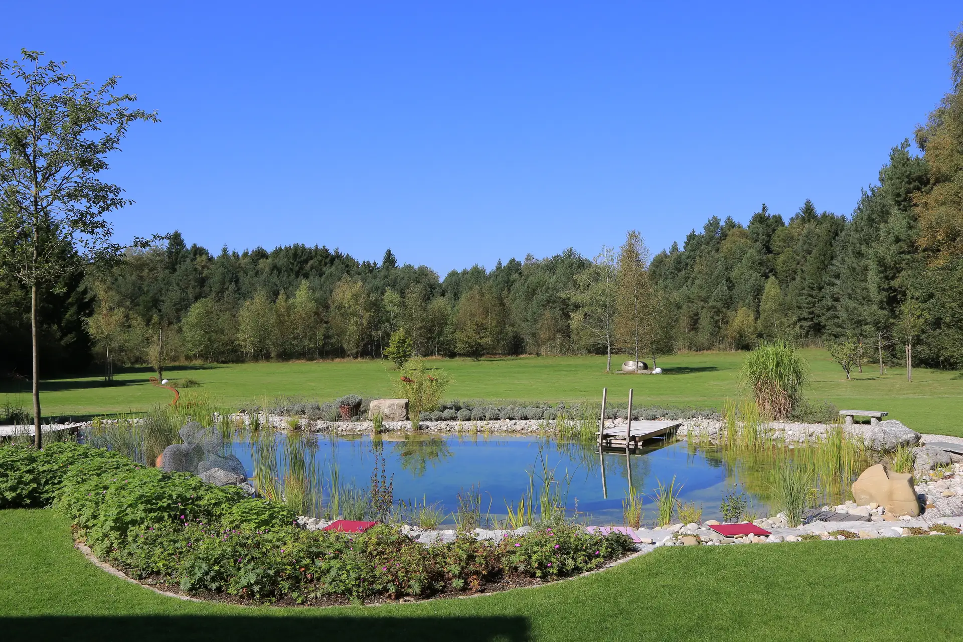 Der große Teich in der Wiese, dahinter der Wald