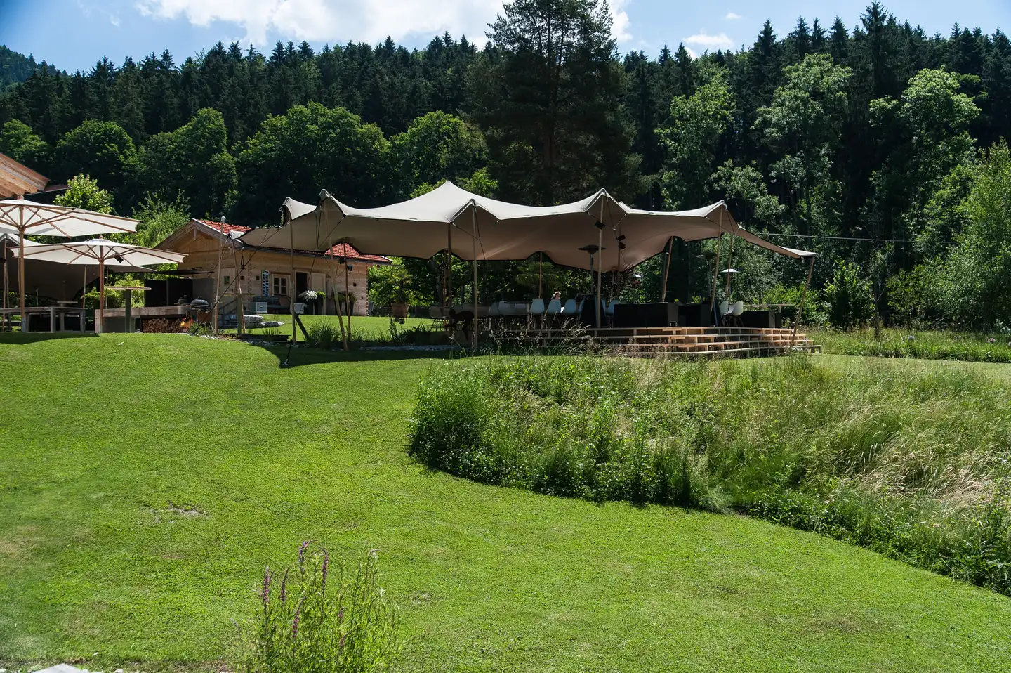 Der Teichrand mit Schilf, dahinter die Gebäude