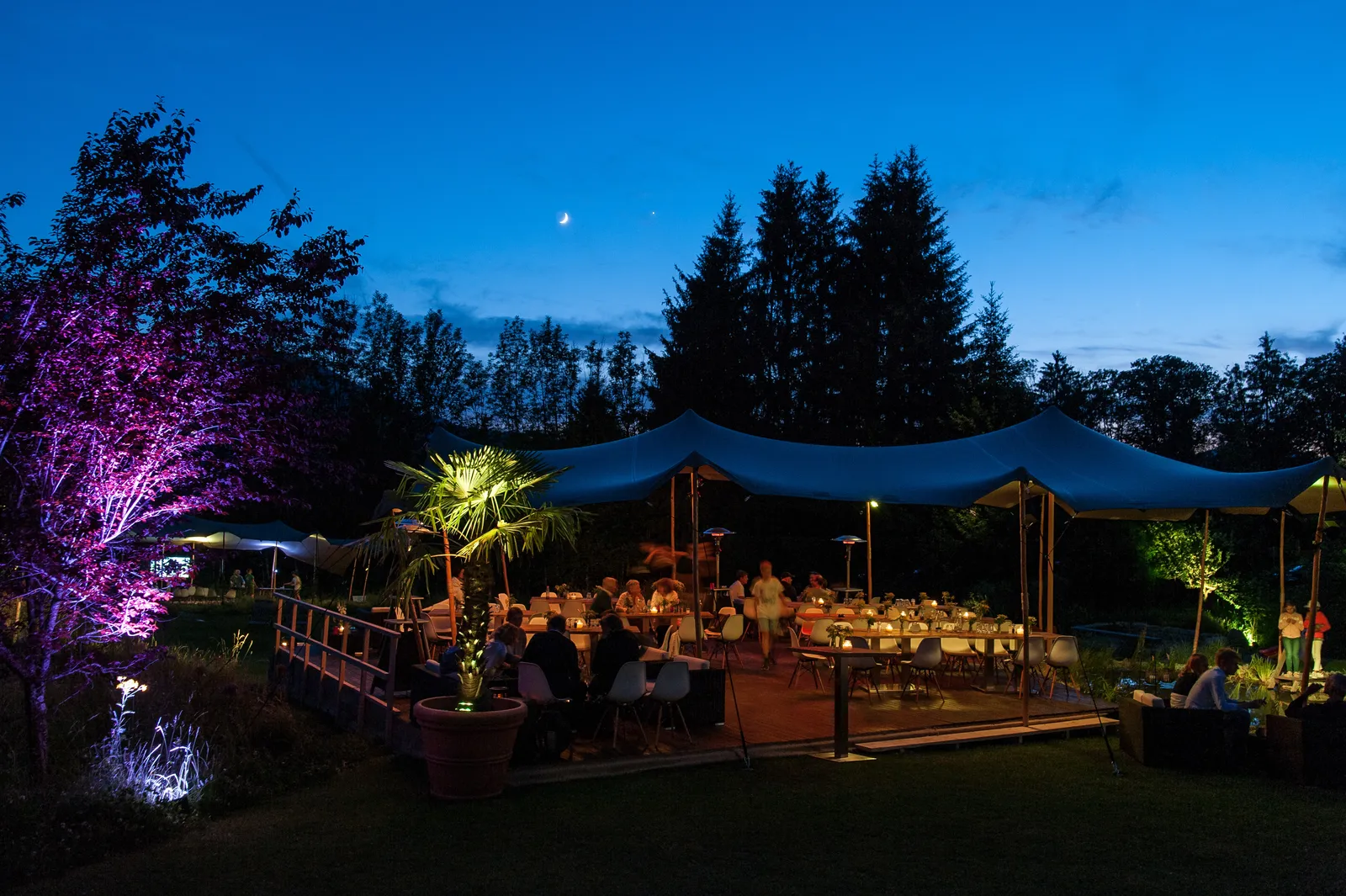 Der Garten am Abend, die Beleuchtung setzt Segel und Gehölze in Szene