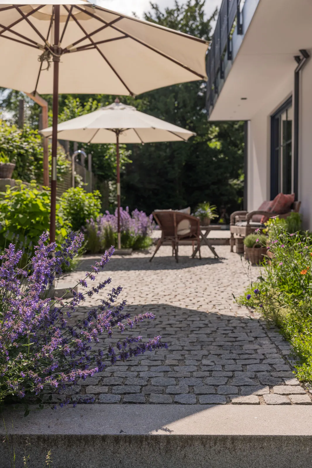 Granit-Kleinpflaster am Sitzplatz, gesäumt von Katzenminze