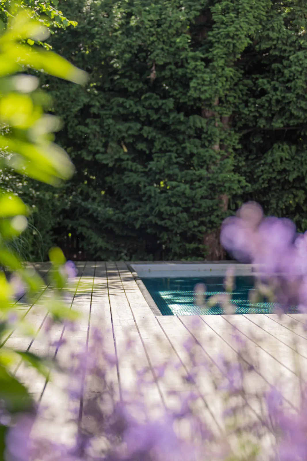 Der Pool schimmert hinter den blau blühenden Staudensäumen