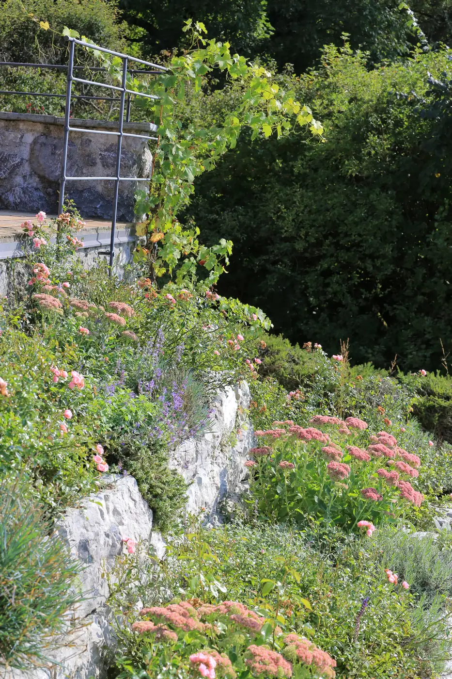 Der Aufgang zum Garten, überwachsen von Rosen und Stauden