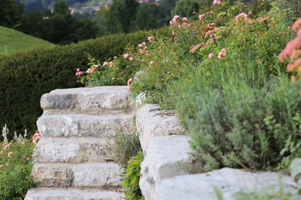 Blockstufen aus Kalkstein führen zwischen Rosen und Lavendel hinauf